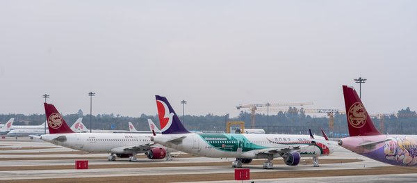 Boutique bouddhiste en ligne : votre guide vers l'art tibétain authentique